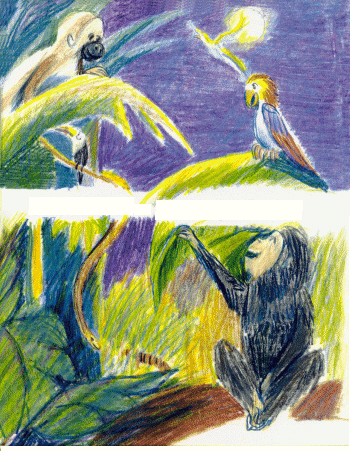 monkey,abbadabbahoneymoon,jungle