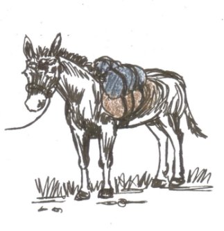 illustration word of week- carry