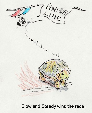 fable, rabbit, hare, turtle, tortius, race