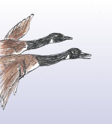 illustrationfriday word of week- forward