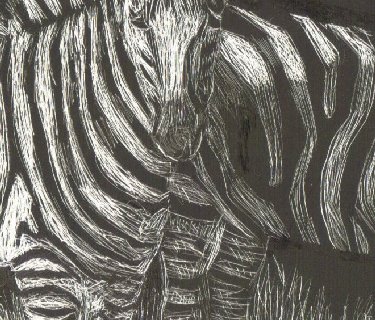 zebras,stripes,camouflage