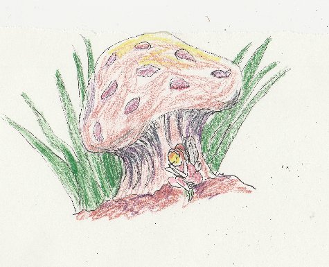 mushroom, fairy, enchanted, asleep