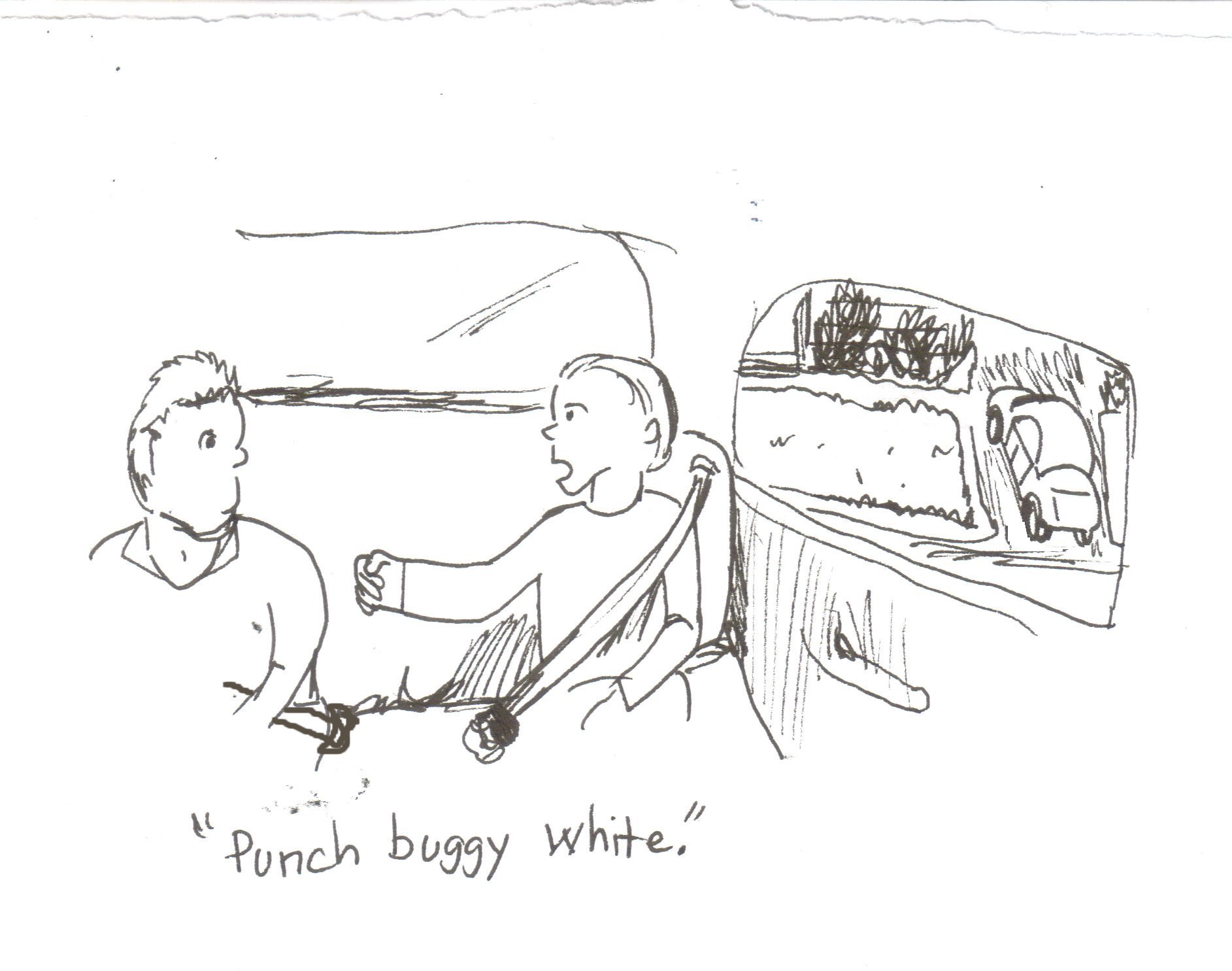 volkswagon beetle buggy, punch