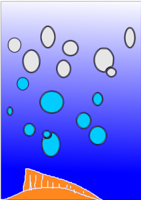 illustrationfriday word of week-Round