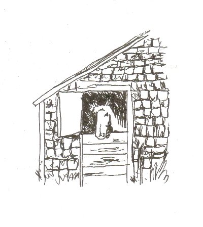barn, horse,pen and ink