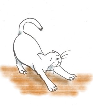 illustrationfriday word of week- stretch