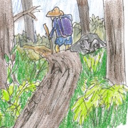 IF image, word of week: Trail