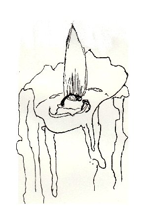 candle, wax,drawing, pen and ink