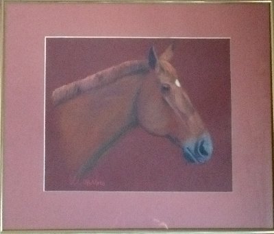 horse, portrait, equine, art