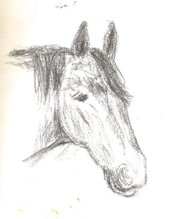 horse art 