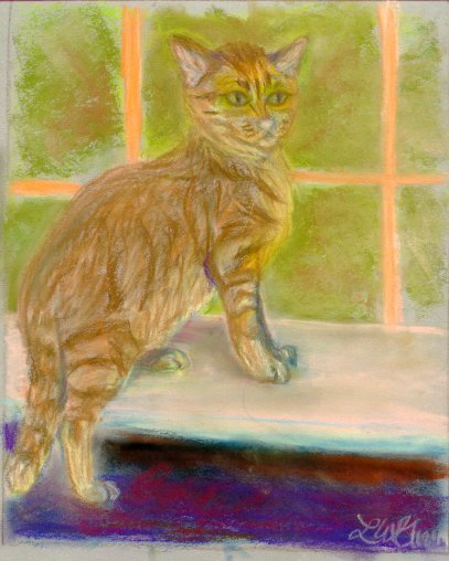 cat, feline,portrait, pet portrait, pastel