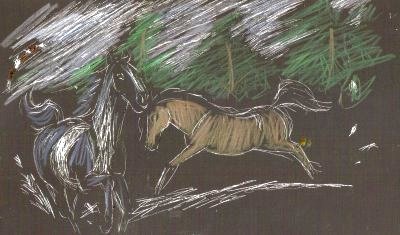 horses running on 1st day out- end of winter