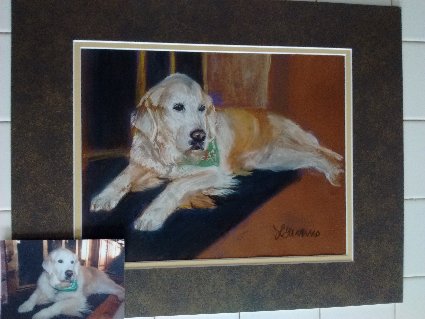 dog portrait, dog, portrait