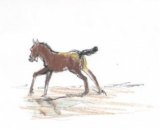 illustrationfriday word of week- sight "What a Sight"